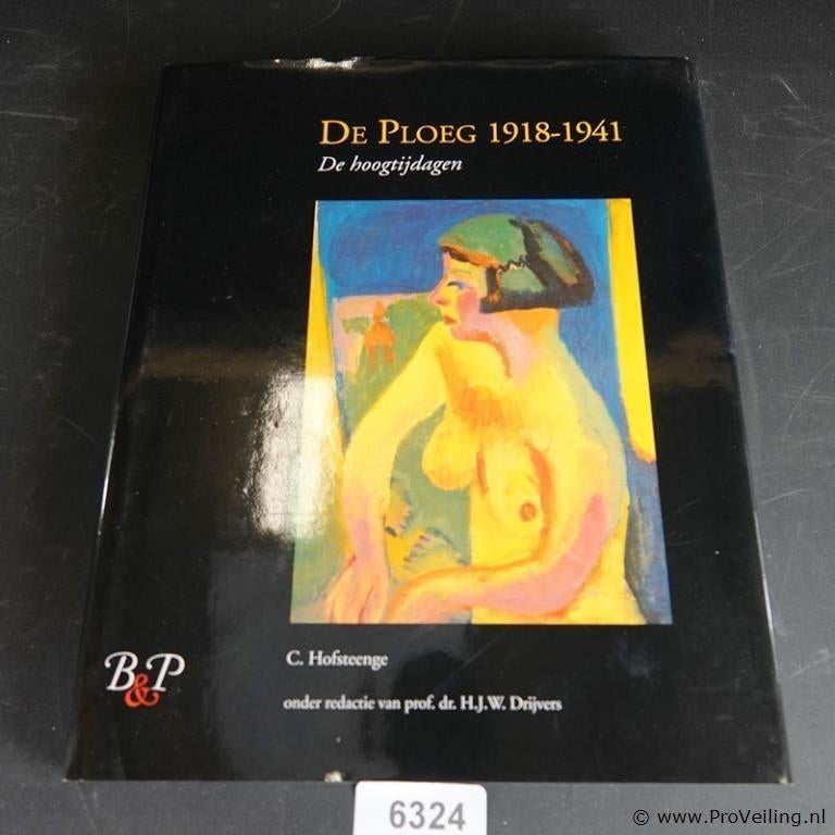De Groninger Ploeg 1918-1941. De hoogtijdagen / Groningen, Ophalen of Verzenden, Zo goed als nieuw, Schilder- en Tekenkunst