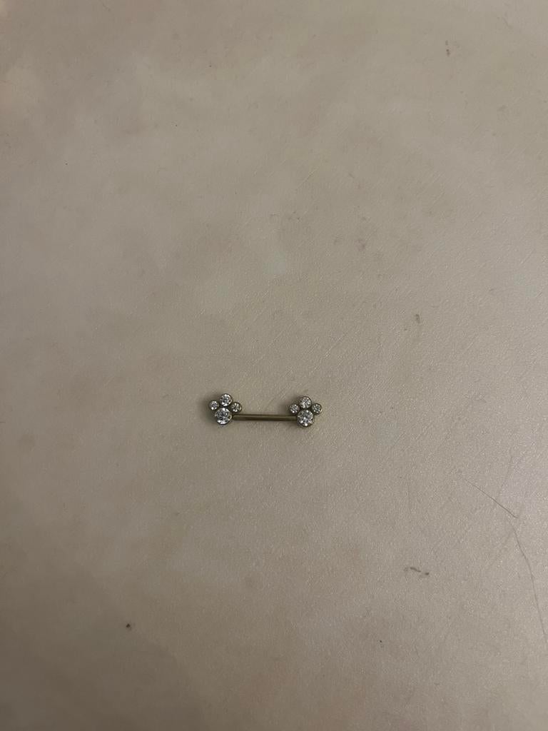Tepel piercing, Ophalen of Verzenden, Nieuw, Overige materialen, Overige typen