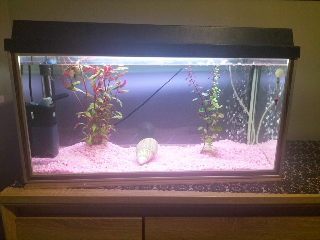 Aquarium, Dieren en Toebehoren, Ophalen, Verwarming, Gebruikt, Verlichting of Verwarming