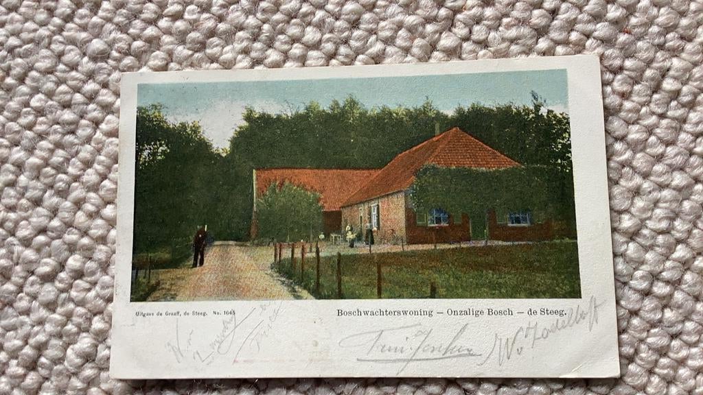 Ansichtkaart De Steeg Boschwachterswoning Onzalige Bosch 963, Ophalen of Verzenden, Voor 1920, Gelopen, Gelderland