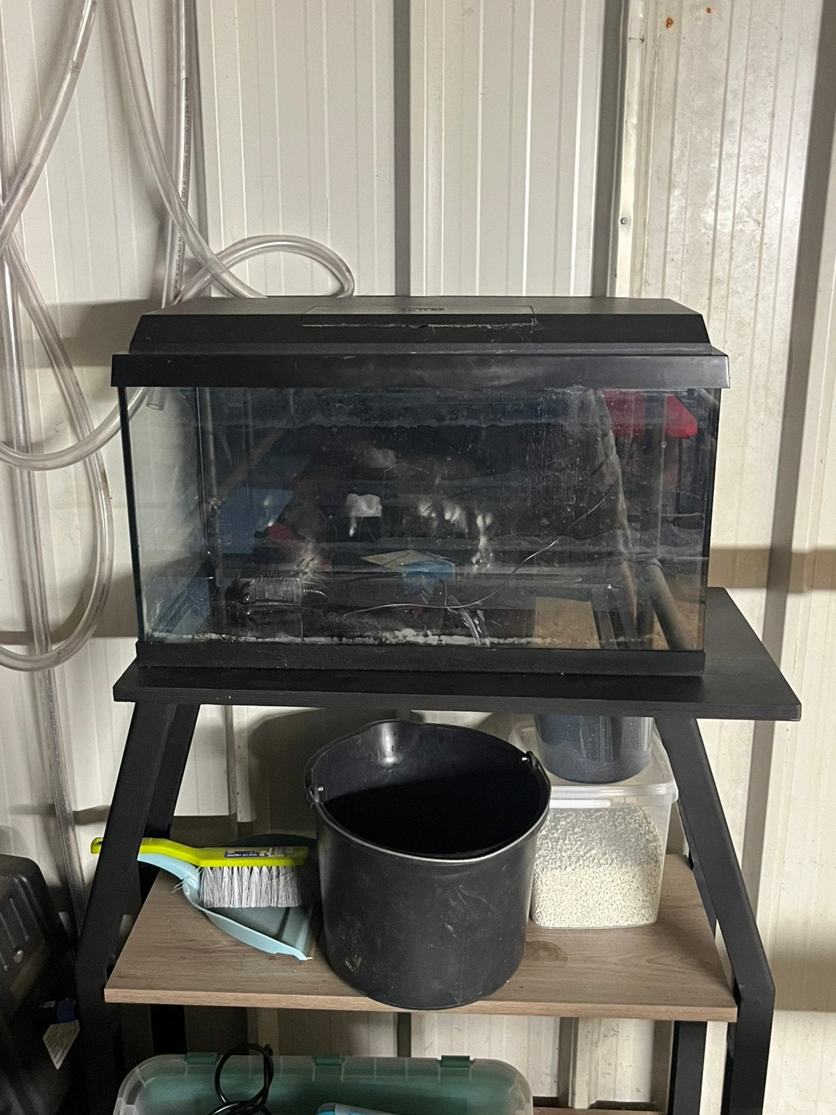 Aquarium 60Liter met verlichting en externe pomp, Ophalen, Inclusief deksel, Zo goed als nieuw, Juwel