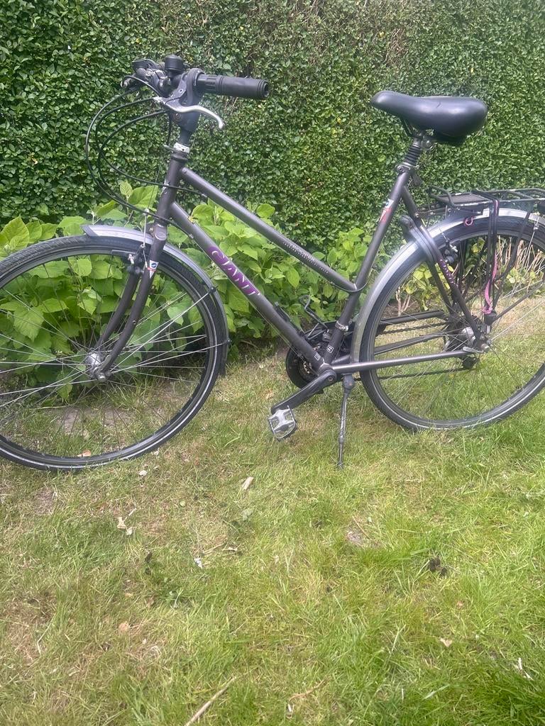 Giant Trooper touring sportive,  Damesfiets  28 inch, Ophalen, 28 inch, Velgrem, Giant