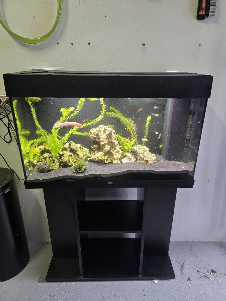 Juwel 125 aquarium, Dieren en Toebehoren, Vissen | Aquaria en Toebehoren, Ophalen, Gebruikt, Gevuld zoetwateraquarium, Inclusief vissen