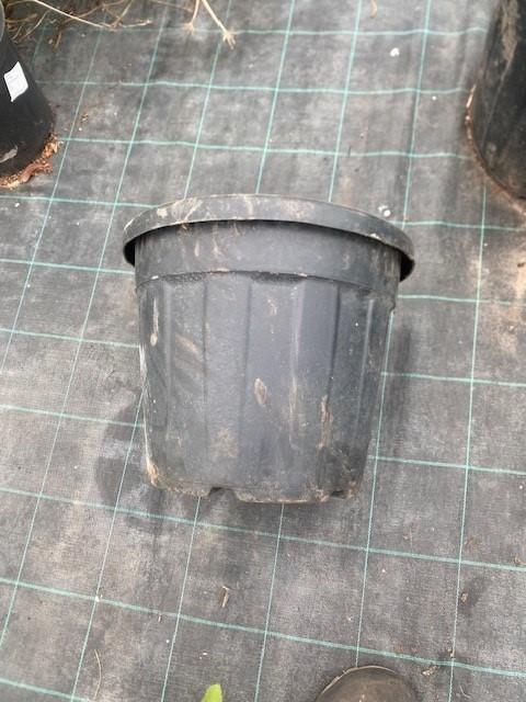 bloempot, Tuin en Terras, Bloempotten, Ophalen, Rond, Aardewerk, Minder dan 40 cm