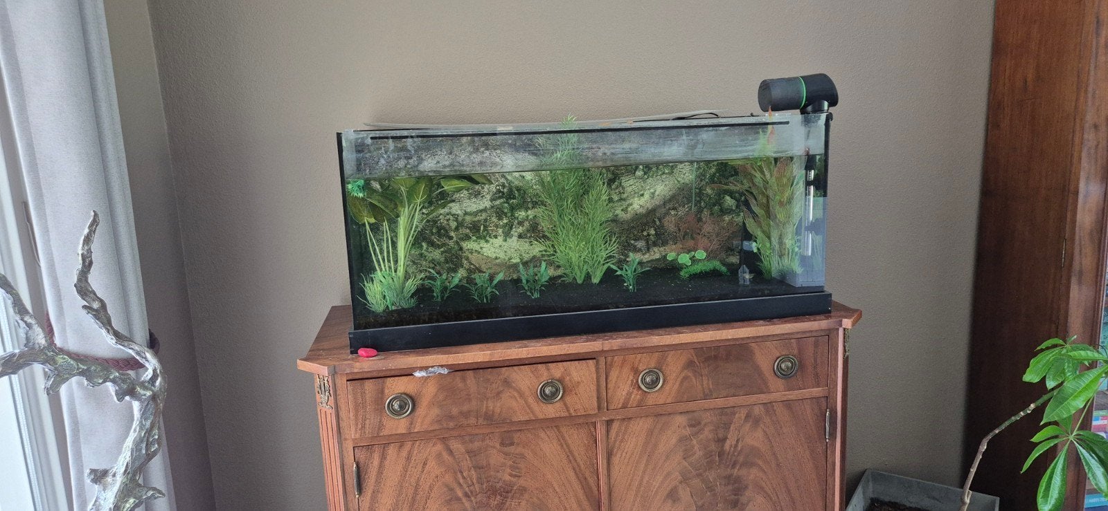 120 liter aquarium te koop – compleet pakket!, Dieren en Toebehoren, Vissen | Aquaria en Toebehoren, Ophalen, Gevuld zoetwateraquarium