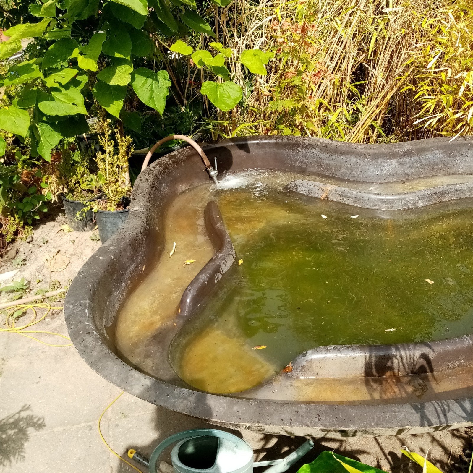 Vijverbak, Tuin en Terras, Vijvers, Ophalen, Gebruikt