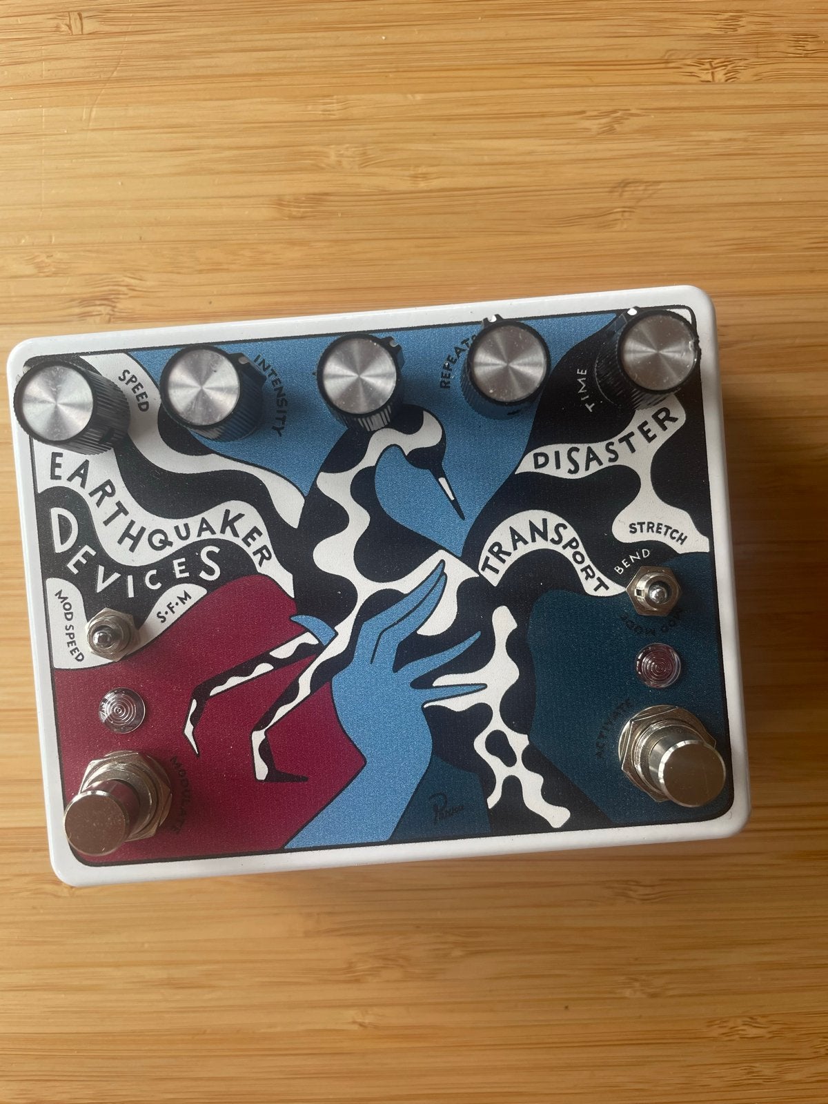 EarthQuaker Devices Disaster Transport, Ophalen of Verzenden, Zo goed als nieuw, Delay of Echo