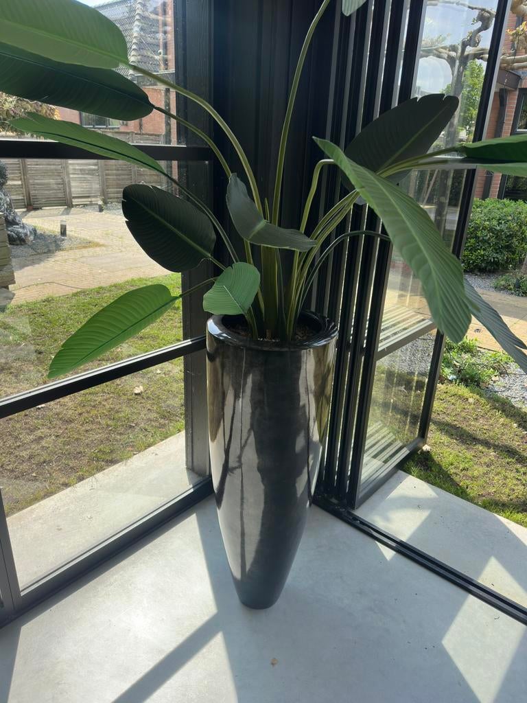 DV Design Vaas (110cm) Metallic Dark Green + Plant, Ophalen, Zo goed als nieuw, Kunststof, Overige typen