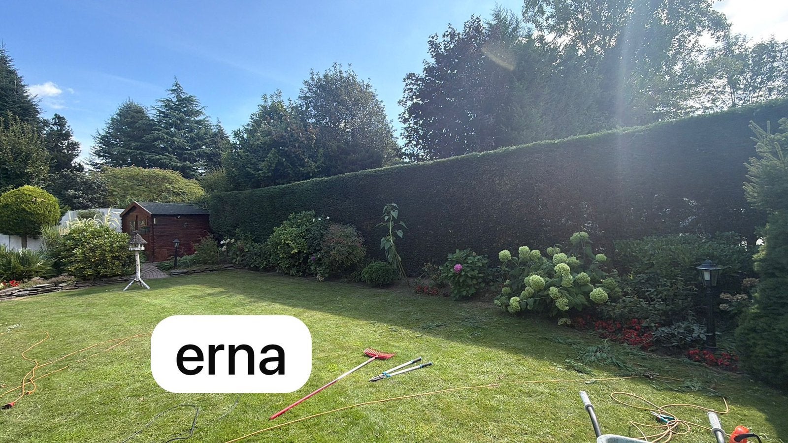 Tuin