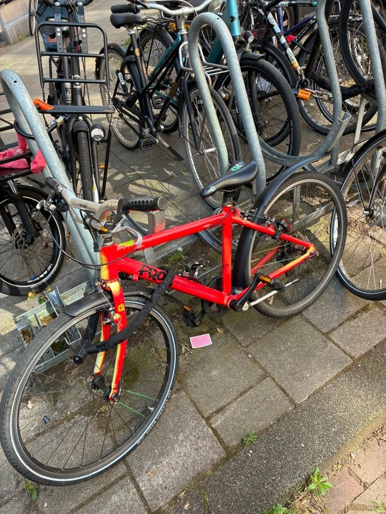 Kinderfiets Frog 24 inch, Ophalen, Gebruikt, Frog Bikes, Minder dan 16 inch