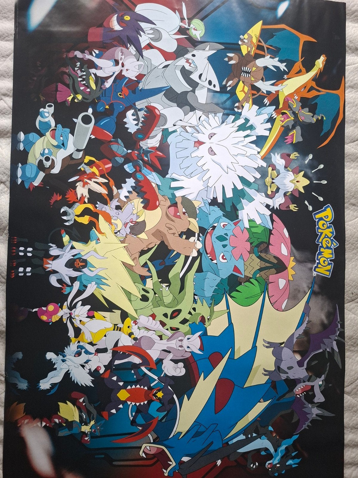 Pokémon Poster met diverse legendarische Pokémon, Hobby en Vrije tijd, Ophalen of Verzenden, Zo goed als nieuw, Overige typen