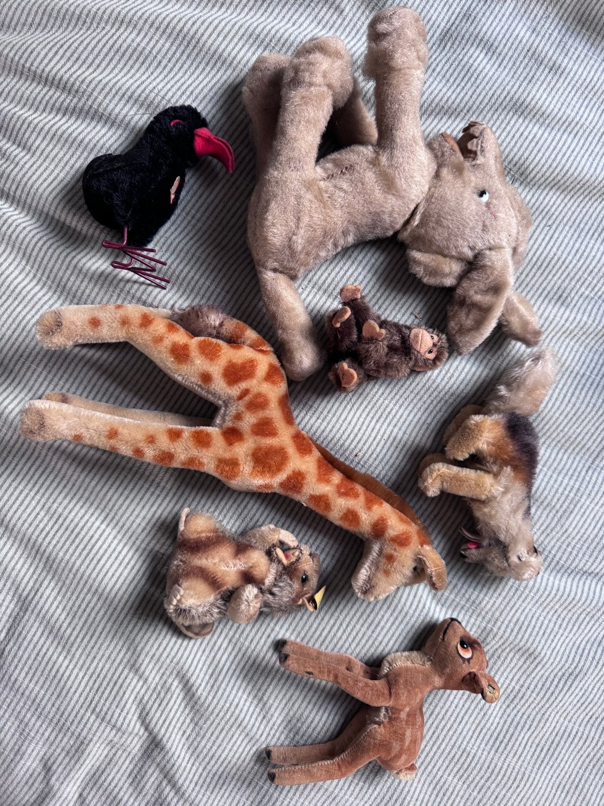 Antieke Steiff knuffels - Diverse dieren, ook per stuk, Ophalen of Verzenden, Gebruikt