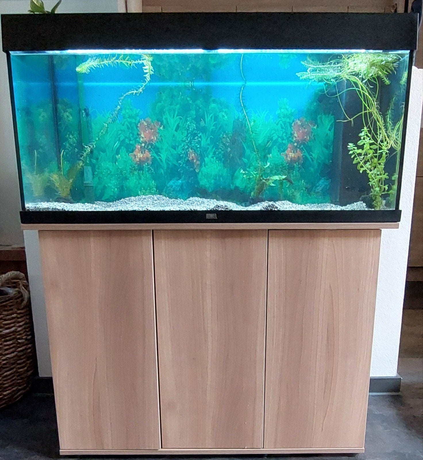 Aquarium Juwel Rio 180 incl. kast en automatisch lichtschema, Ophalen, Verwarming, Zo goed als nieuw, Leeg aquarium