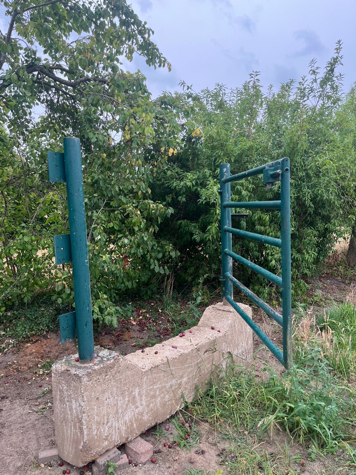 Toegangshek. Gegalvaniseerd stevig loophek., Ophalen, Met poort, Gebruikt, Tuinhek