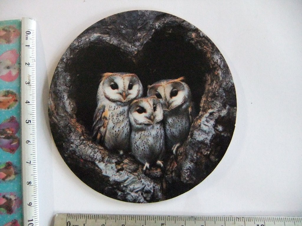 8 houten  UILTJES onderzetters p.m 10cm, Verzenden, Nieuw