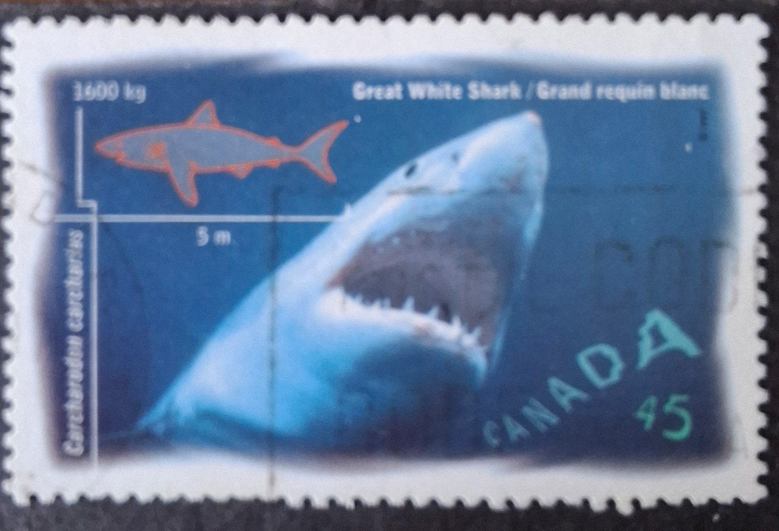 Canada 328 haai, Ophalen of Verzenden, Overige thema's
