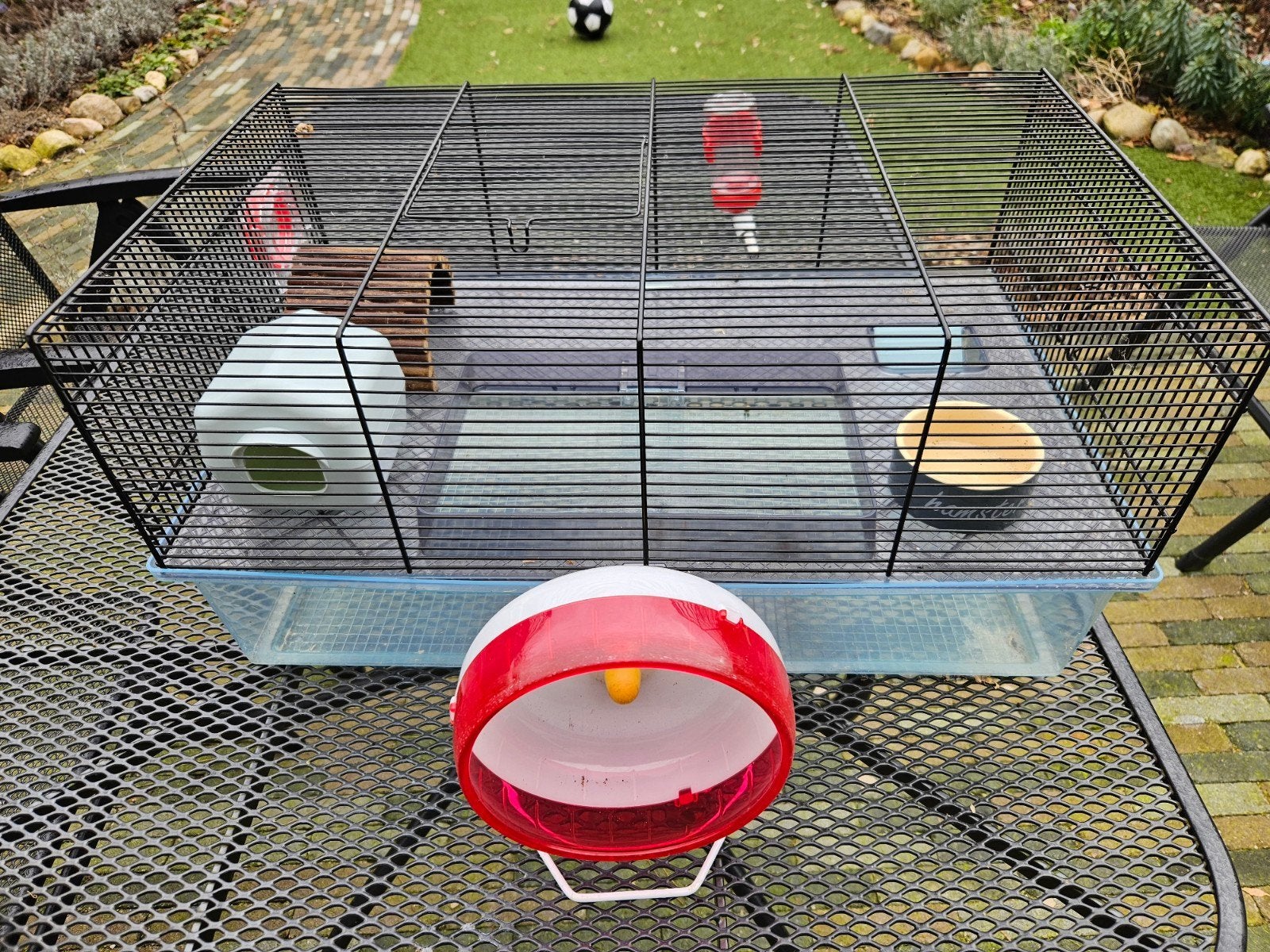 Hamster kooi ren en toebehoren, Dieren en Toebehoren, Kooi, Minder dan 75 cm, Zo goed als nieuw, Hamster