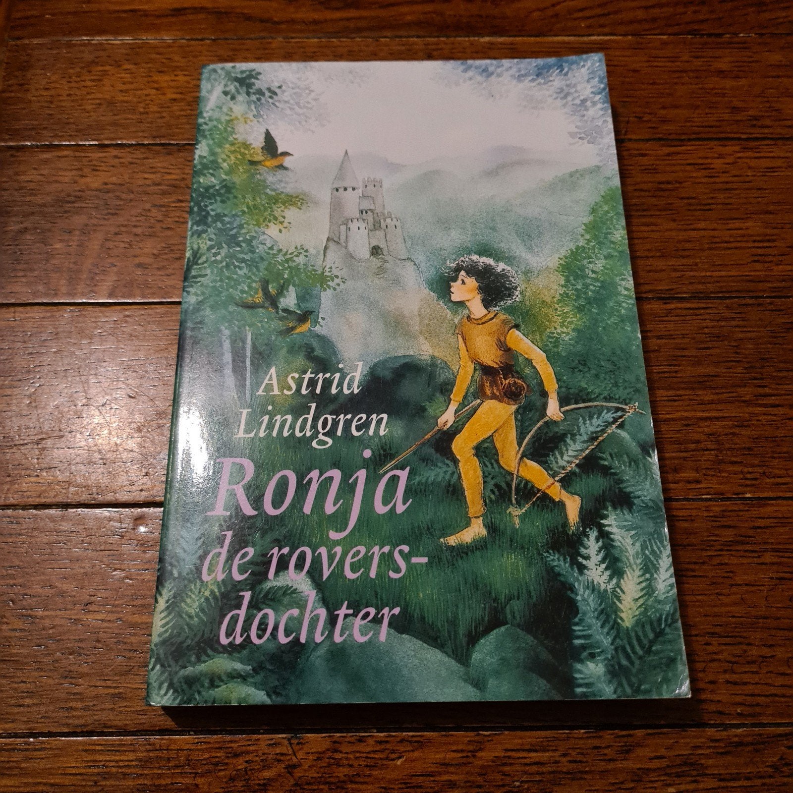 Astrid Lindgren - Ronja de roversdochter, Boeken, Kinderboeken | Jeugd | 10 tot 12 jaar, Ophalen of Verzenden, Zo goed als nieuw