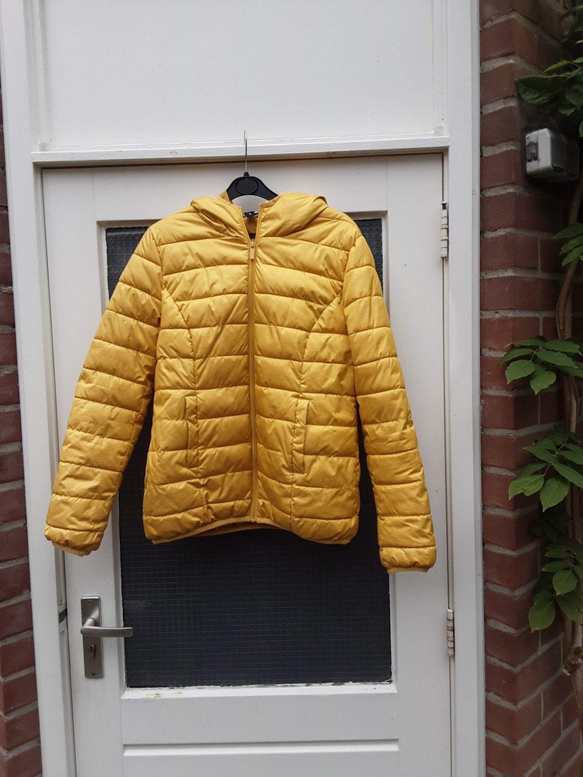 Gevoerde okergele jack met 2 zakken - Maat M, Maat 38/40 (M), Geel, Crazy world, Ophalen of Verzenden
