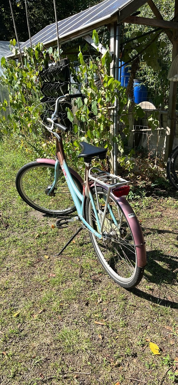 Mooie Damesfiets Batavus, Ophalen, Gebruikt, Versnellingen, 50 tot 53 cm