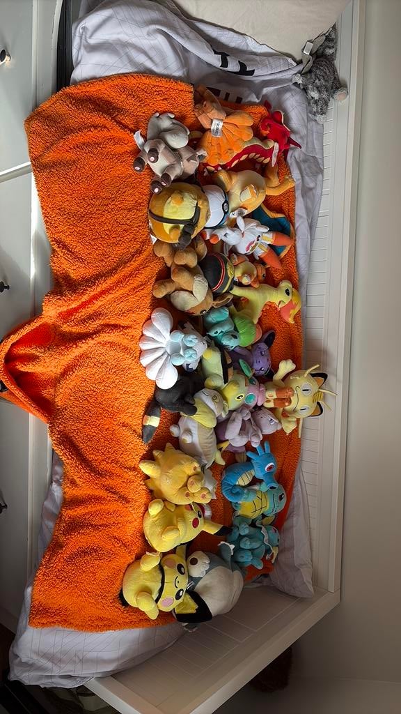Pokemon knuffels, Kinderen en Baby's, Speelgoed | Knuffels en Pluche, Ophalen of Verzenden, Zo goed als nieuw, Overige typen