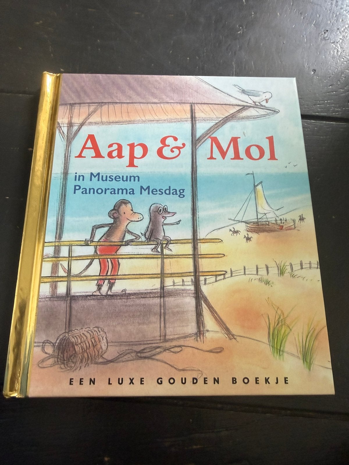 Gitte Spee - Aap & Mol in Museum Panorama Mesdag, Gitte Spee, Fictie algemeen, Ophalen of Verzenden, Zo goed als nieuw