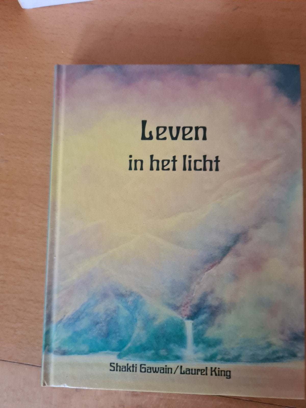 Leven in het Licht - Shakti Gawain & Laurel King, Achtergrond en Informatie, Spiritualiteit algemeen, Ophalen of Verzenden, Zo goed als nieuw