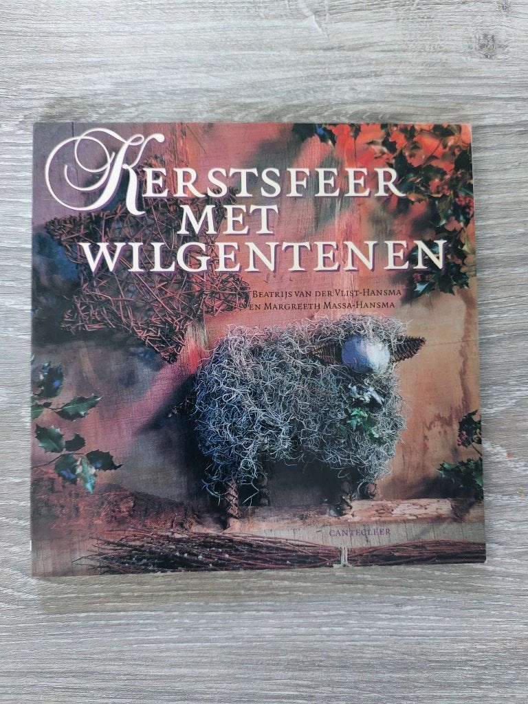 Beatrijs van der Vlist-Hansma - Kerstsfeer met wilgentenen, Ophalen of Verzenden, Zo goed als nieuw
