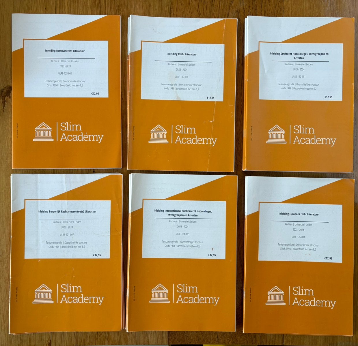 Slim Academy Rechtsgeleerdheid Leiden 1-jaar 28 stuks, Boeken, Ophalen of Verzenden, Alpha, Gelezen, WO