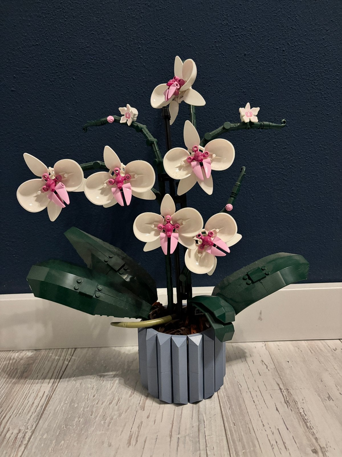 LEGO Botanicals Orchidee 10311 – compleet met boekje, Ophalen of Verzenden, Zo goed als nieuw