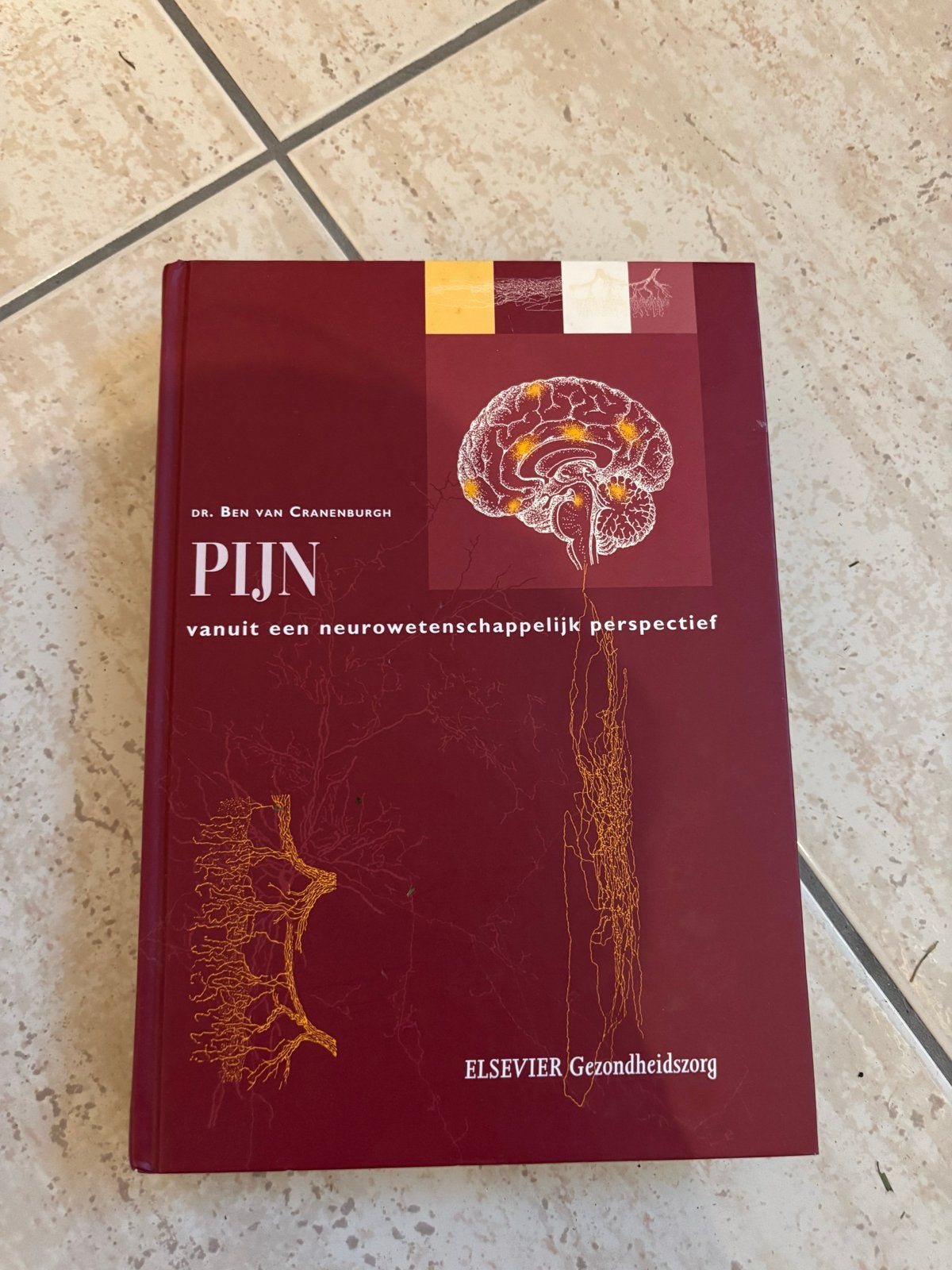 Pijn vanuit een neurowetenschappelijk perspectief Cranenburg, Ophalen of Verzenden, Zo goed als nieuw, Gezondheid en Conditie