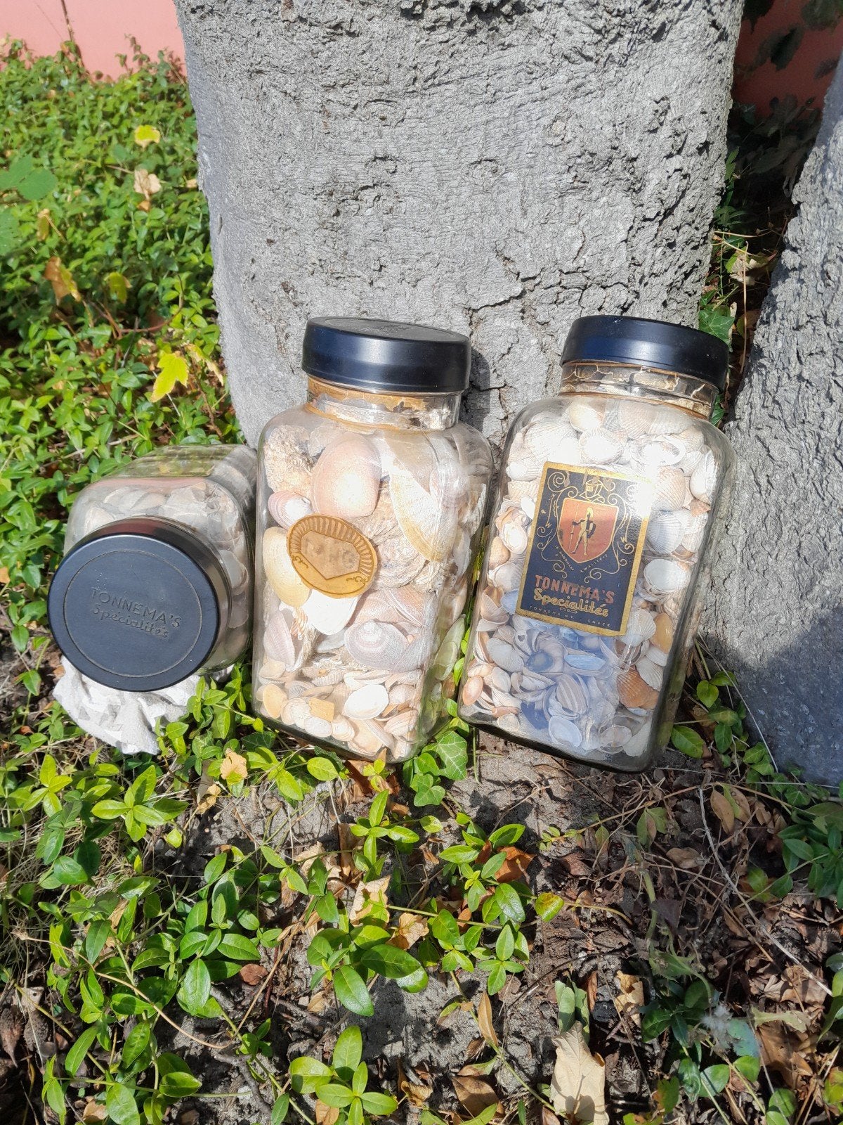 3x pot tonnema's, Ophalen, Huis en Inrichting