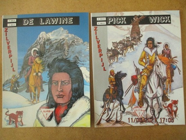 adv4292 zilverpijl 3, Boeken, Stripboeken, Eén stripboek, Ophalen, Gelezen