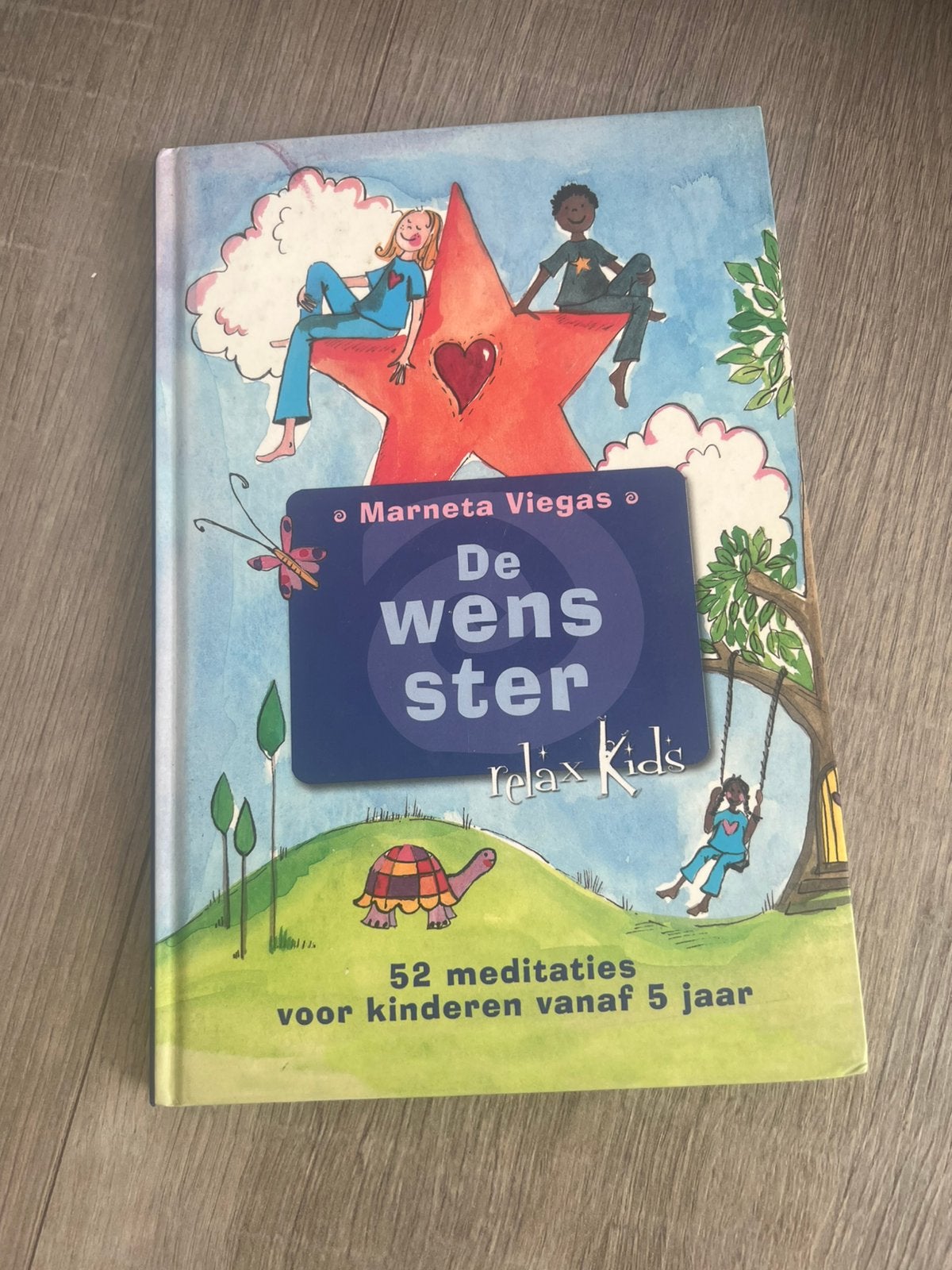 De wensster, Boeken, Ophalen of Verzenden, Zo goed als nieuw, Fictie algemeen