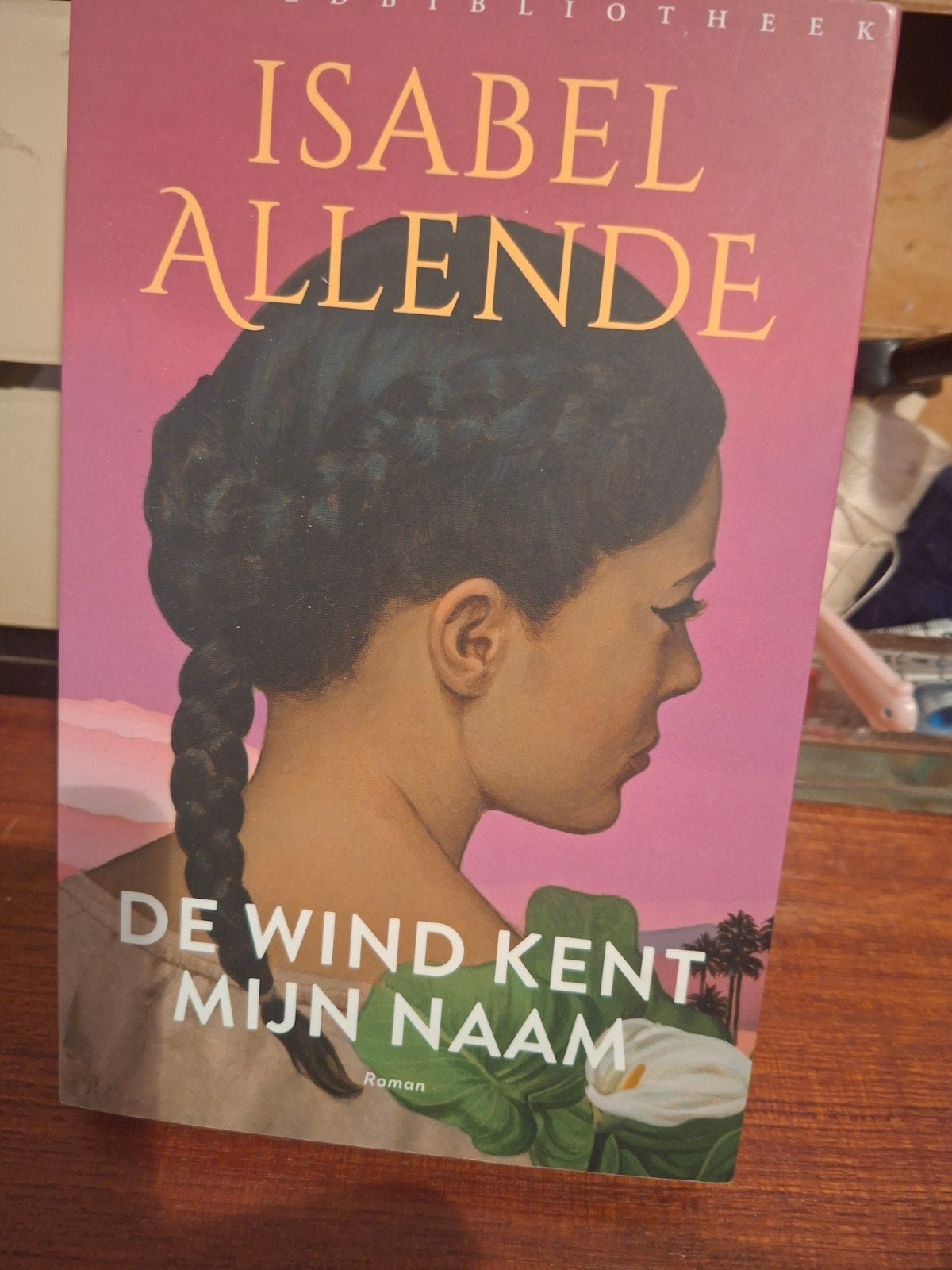 Isabel Allende - De wind kent mijn naam, Verzenden, Zo goed als nieuw, Isabel Allende