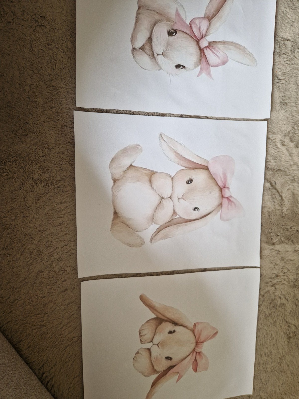 3 canvas posters konijnen, Ophalen of Verzenden, Minder dan 50 cm, Schilderij