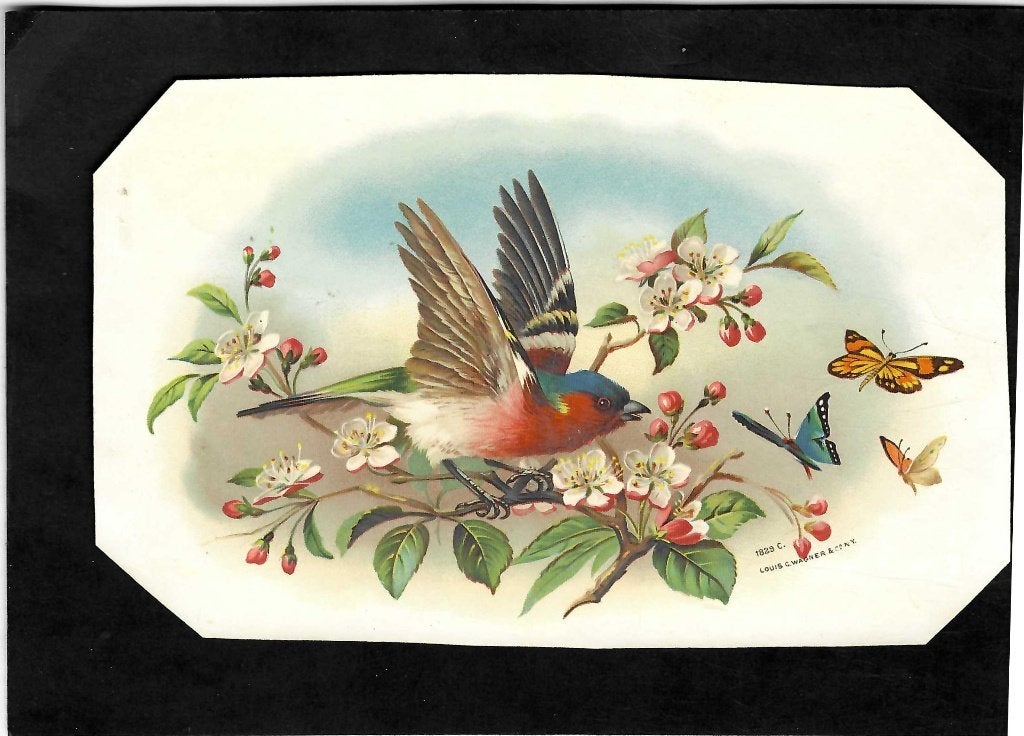 zonder naam   etiket   1829, Ophalen of Verzenden, Gebruikt, Sigarenbandjes