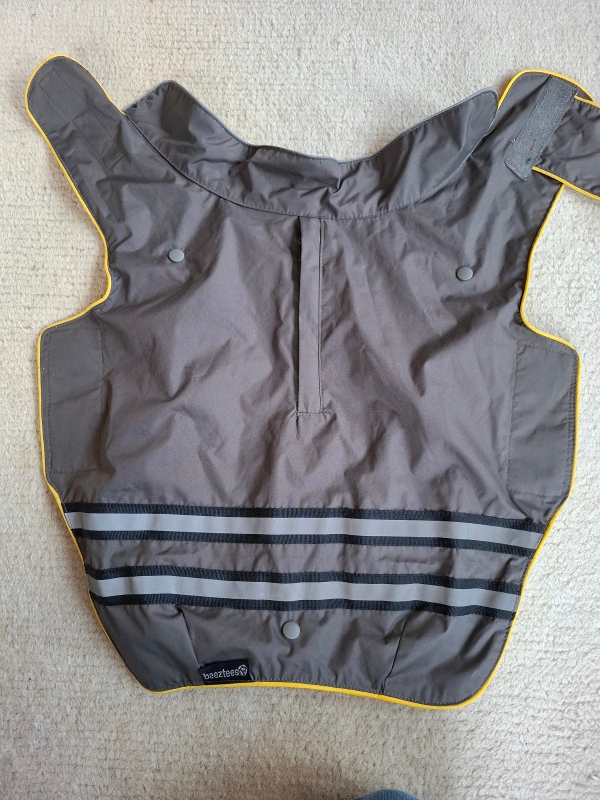 regenjassen/ winterjassen kleine hond, XS, Ophalen of Verzenden, Zo goed als nieuw, Hondenjas