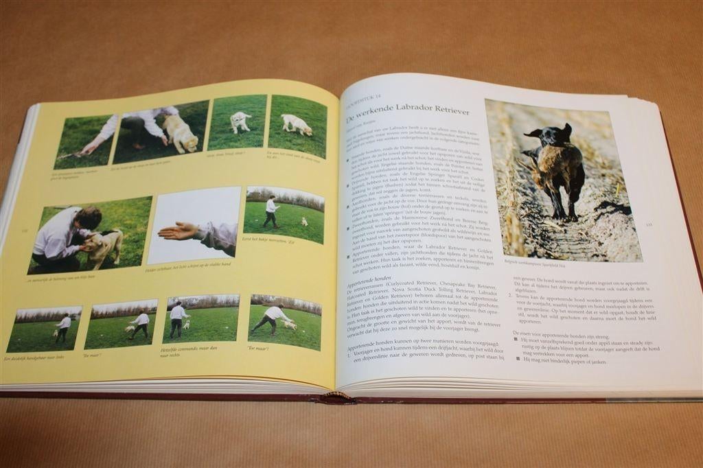 De Labrador Retriever – Compleet Handboek, Verzenden, Zo goed als nieuw, Honden