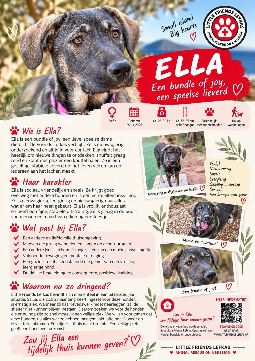 FOSTERGEZIN GEZOCHT VOOR ELLA, Starter, Overige vormen, Overige uren, LBO / VMBO