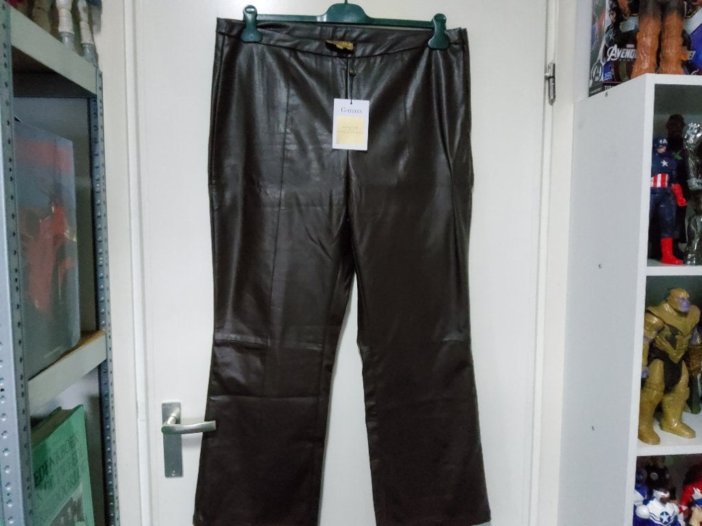 Leren dames broek  van froukje de both xxl nieuw 25 euro, Bruin, Maat 46/48 (XL) of groter, Nieuw, Ophalen of Verzenden