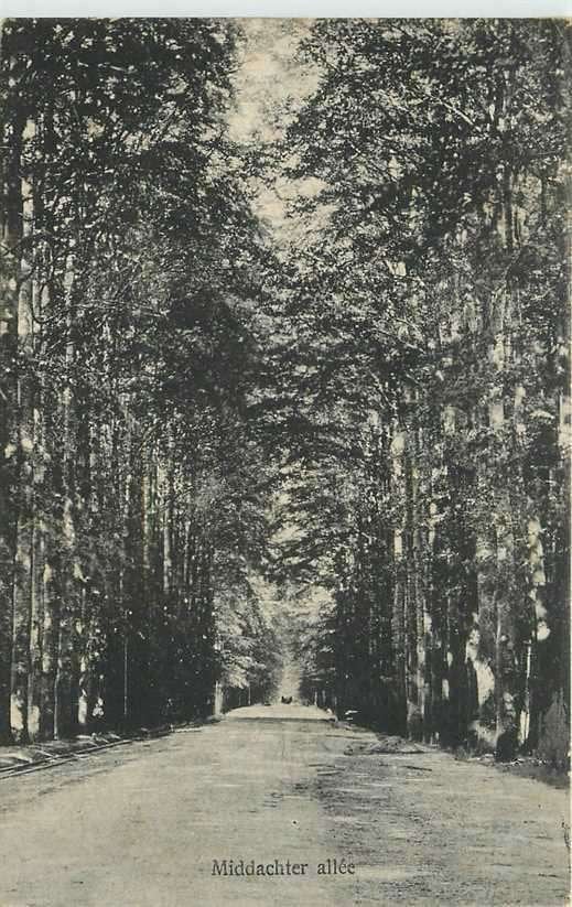 380-356-009 De Steeg Middachter Allee, Verzamelen, Ansichtkaarten | Nederland, Verzenden, Voor 1920, Gelderland
