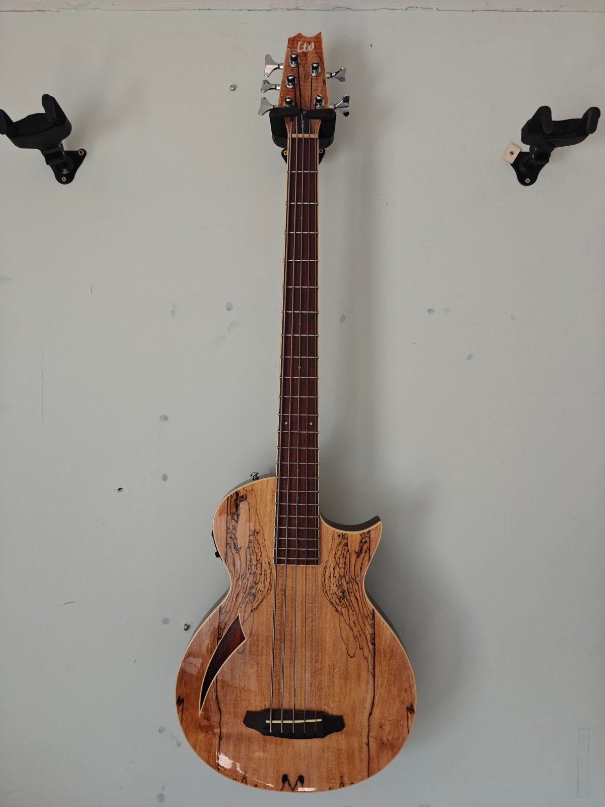 ESP LTD TL-5  Semi-akoestische Basgitaar, Ophalen, Zo goed als nieuw, Semi-akoestisch