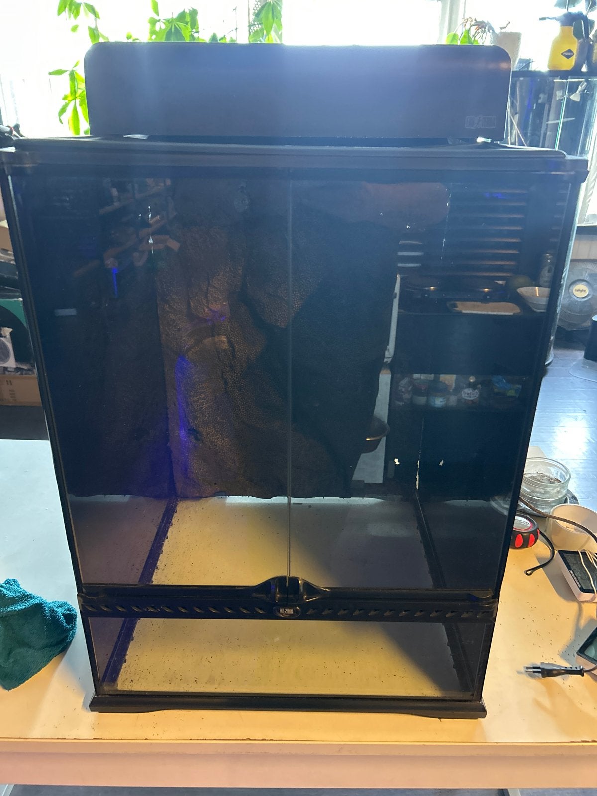 Exo terra terrarium 60x45x45 koopje!, Dieren en Toebehoren, Ophalen, Gebruikt, Terrarium of Paludarium