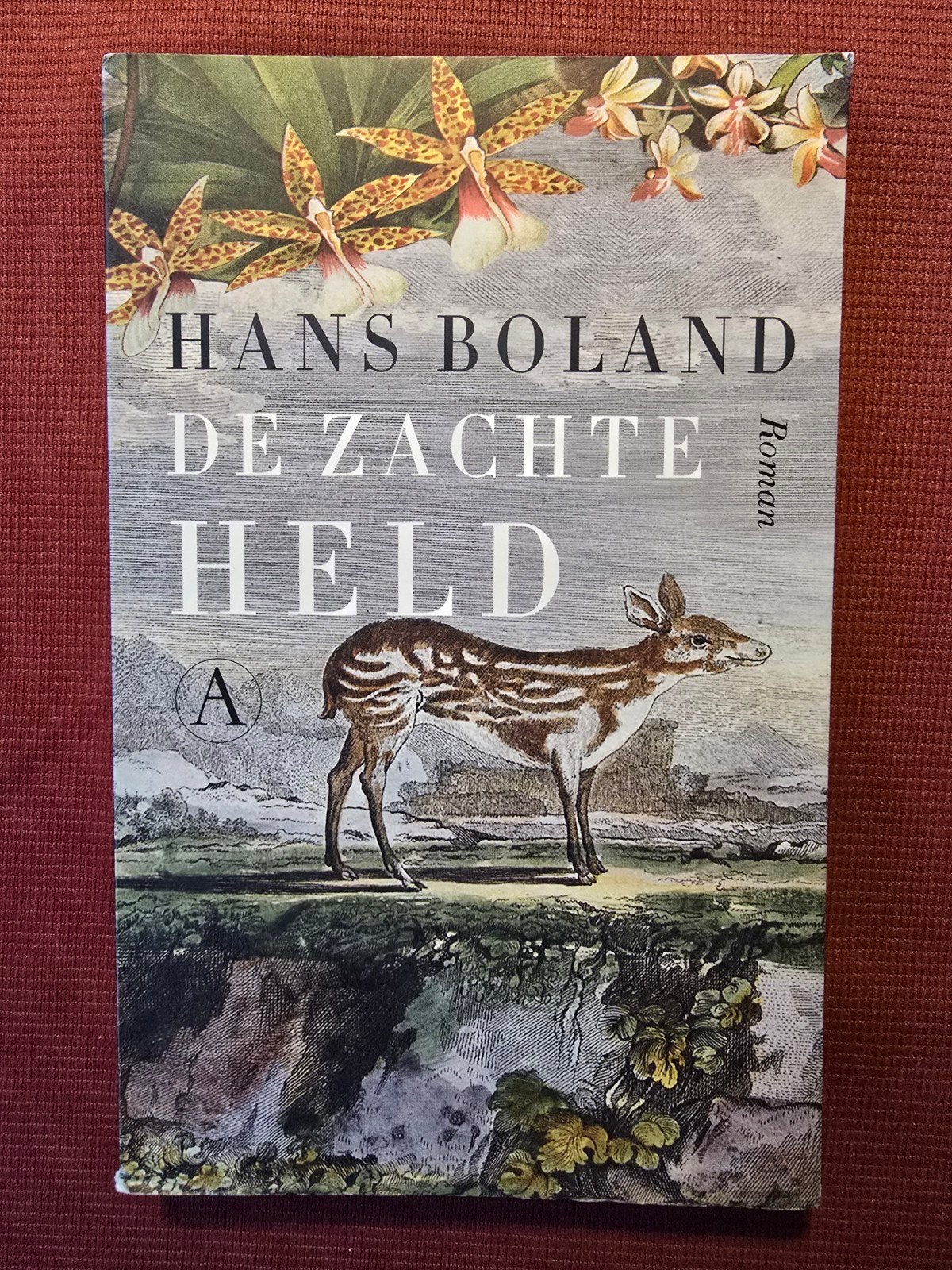 De Zachte Held - Hans Boland (Roman), Boeken, Hans Boland, Ophalen of Verzenden, Zo goed als nieuw, Nederland