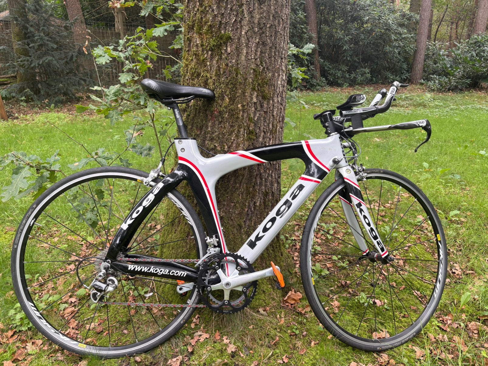 Koga carbon tijdritfiets, Ophalen, 28 inch, Gebruikt, Carbon