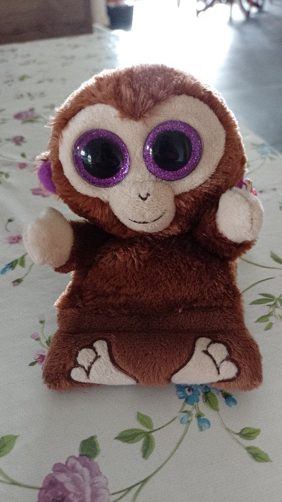 ty knuffels, Ophalen of Verzenden, Zo goed als nieuw, Overige typen, Ty