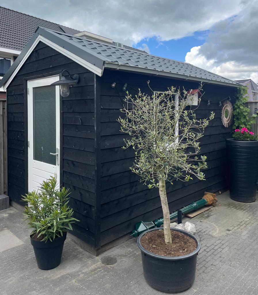 Schuur, Tuin en Terras, Tuinhuizen, Ophalen, Gebruikt, Schuur, 1 raam