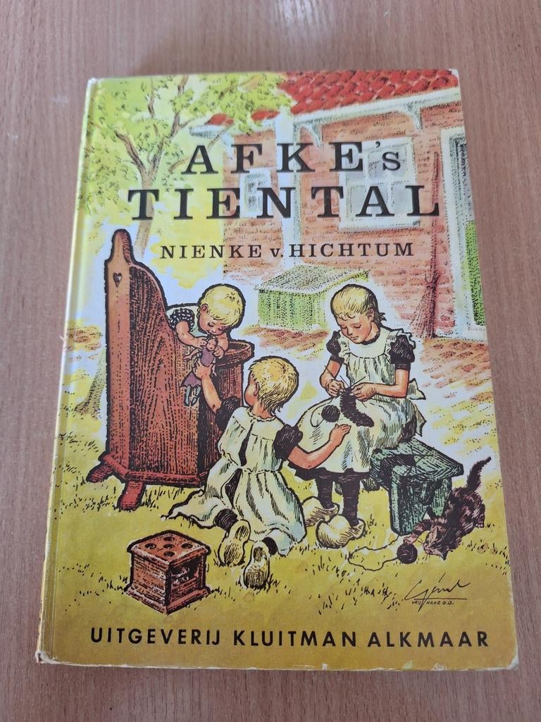 Nienke v. Hichtum - Afke's tiental, Ophalen of Verzenden, Zo goed als nieuw, Nienke v. Hichtum, Fictie