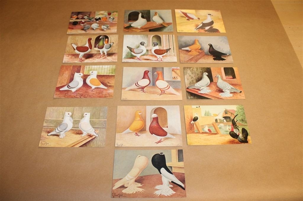 13 gekleurde ansichten met duiven, Ophalen of Verzenden, Voor 1920, Ongelopen, Vogel